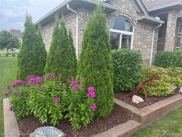 54669 Shady Creek Drive, New Baltimore, MI 48047