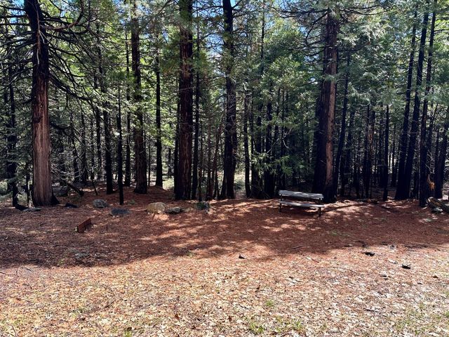 142 Beatrice Dr, Arnold, CA 95223