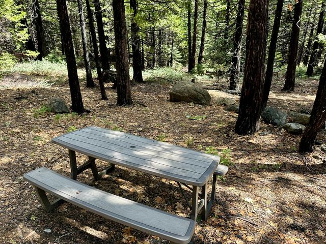 142 Beatrice Dr, Arnold, CA 95223