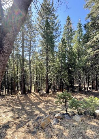 142 Beatrice Dr, Arnold, CA 95223