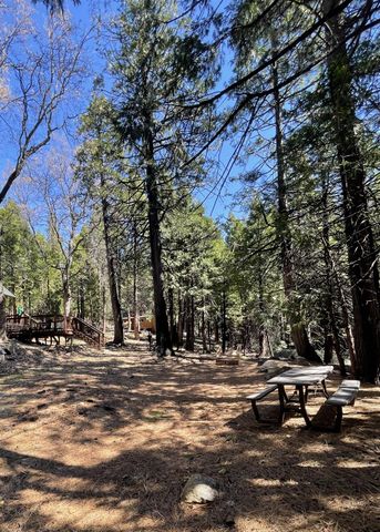 142 Beatrice Dr, Arnold, CA 95223