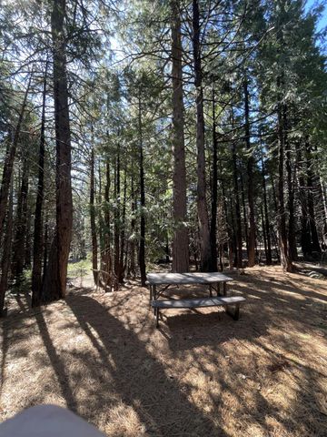 142 Beatrice Dr, Arnold, CA 95223