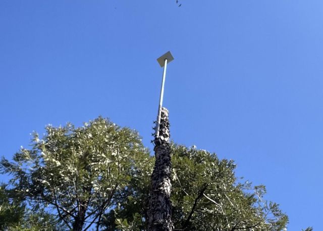 142 Beatrice Dr, Arnold, CA 95223