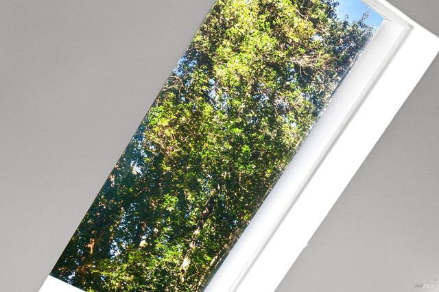 16 Iron Springs Rd, Fairfax, CA 94930