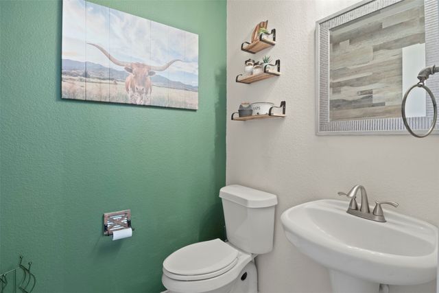 1303 Feather Crest Drive, Krum, TX 76249