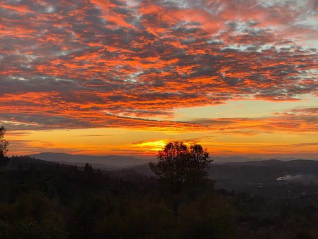 3204 Skunk Ranch Rd, Murphys, CA 95247