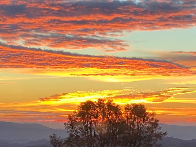 3204 Skunk Ranch Rd, Murphys, CA 95247