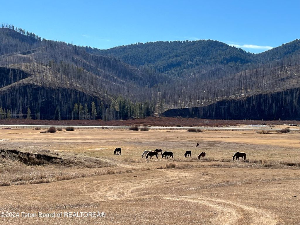 35 ACRES, Bondurant, WY 82922 photo 4