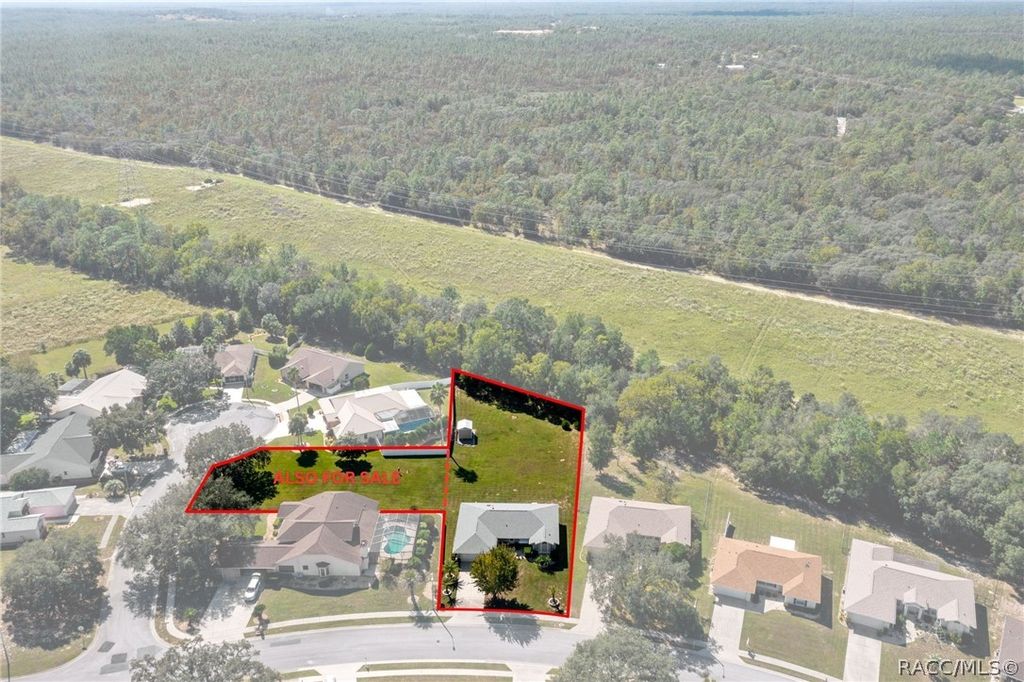 1342 S Brookfield Drive, Lecanto, FL 34461