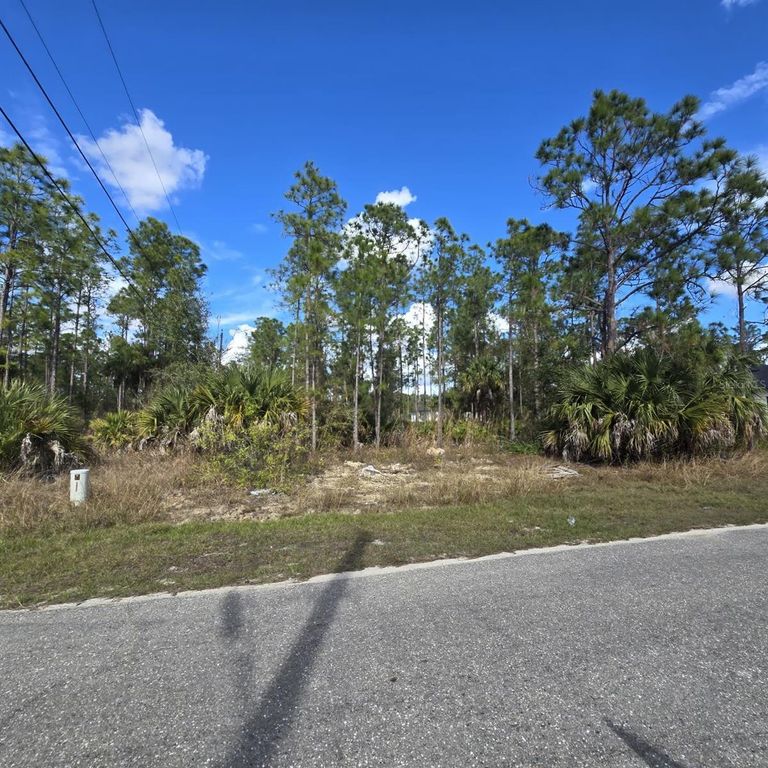 2603 E 13TH STREET, Lehigh Acres, FL 33972