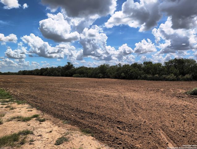125 ACRES Cooksey Road, Adkins, TX 78101