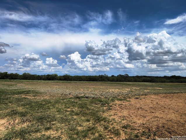 125 ACRES Cooksey Road, Adkins, TX 78101
