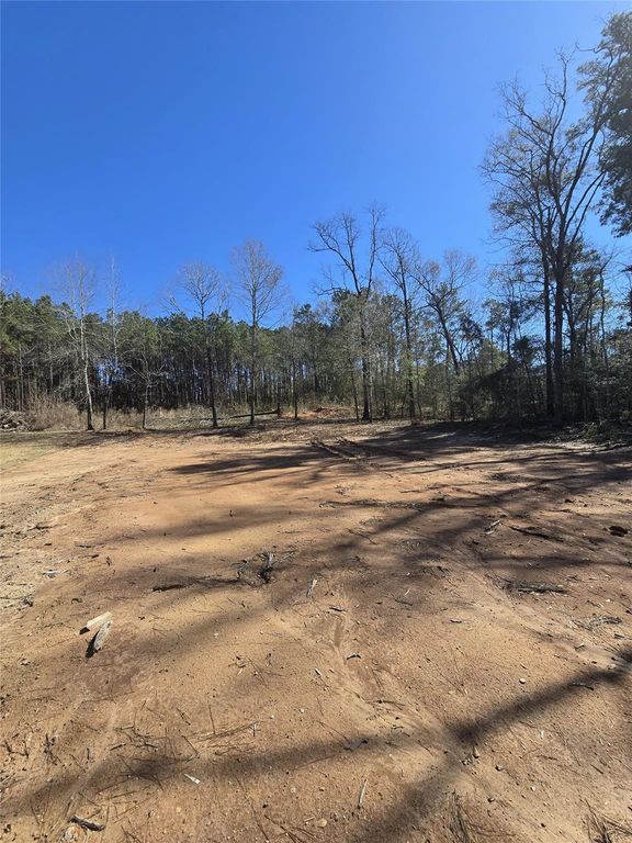 Lot 16 Arrowhead Loop E, Willis, TX 77378