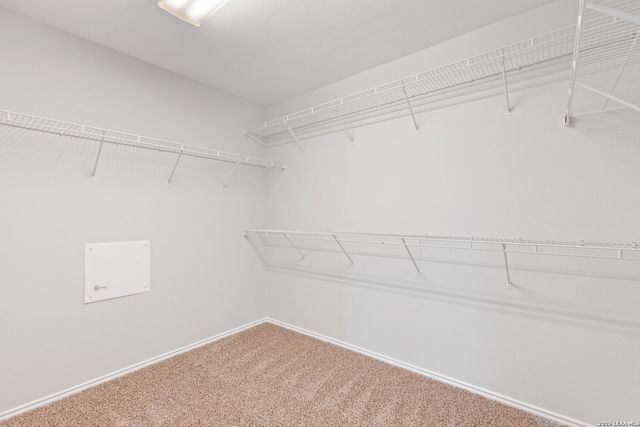 337 Willow, Cibolo, TX 78108