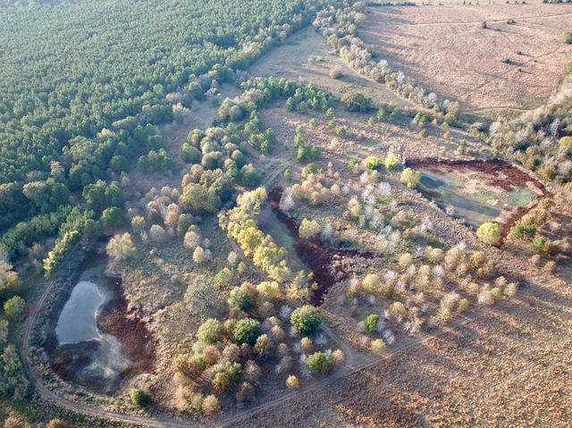 000 Farm To Market 1374, Huntsville, TX 77340