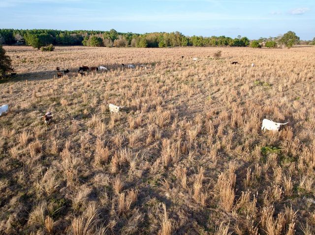 000 Farm To Market 1374, Huntsville, TX 77340