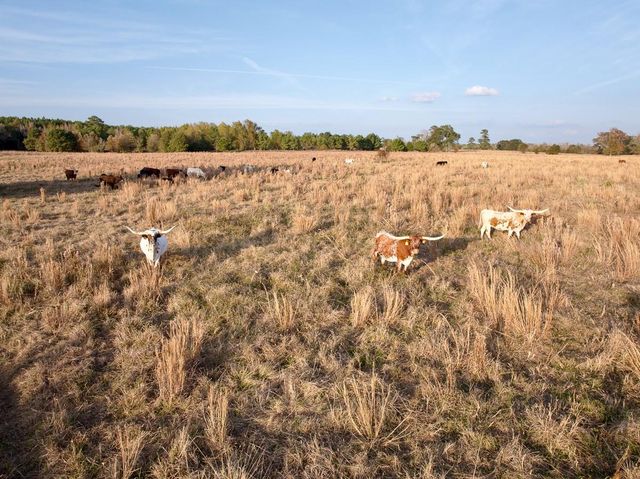 000 Farm To Market 1374, Huntsville, TX 77340