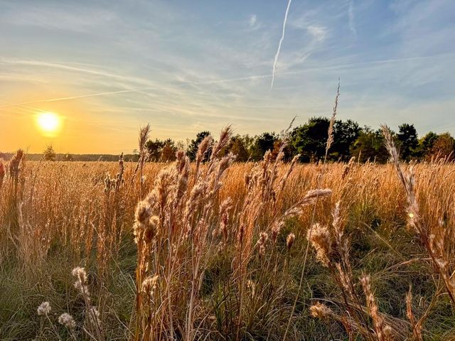 000 Farm To Market 1374, Huntsville, TX 77340