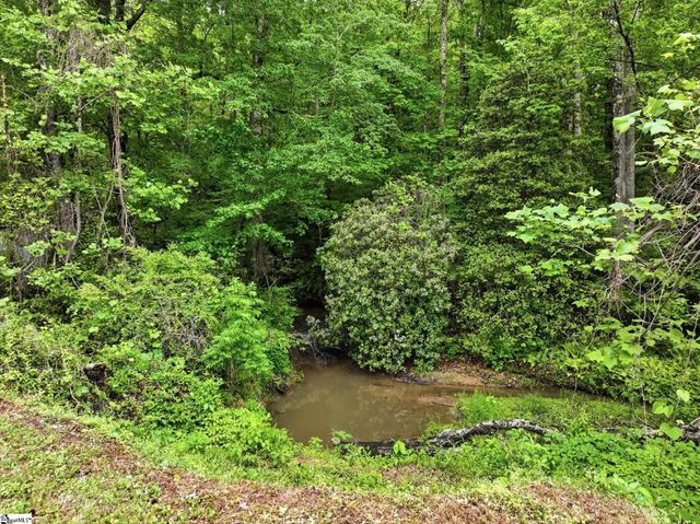 524 Mount Tabor Church Road, Pickens, SC 29671