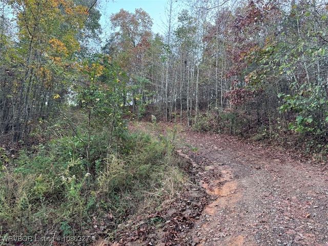 8241 Lazy Brook Road, Rudy, AR 72952