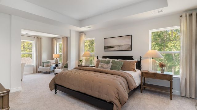 939 Hibernation Way, Conway, SC 29526