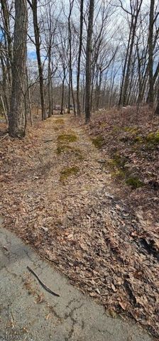 0 Upper Hibernia Rd, Rockaway Twp., NJ 07866