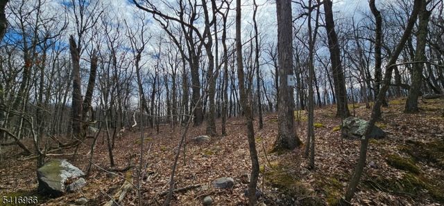 0 Upper Hibernia Rd, Rockaway Twp., NJ 07866