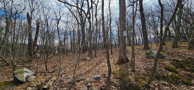 0 Upper Hibernia Rd, Rockaway Twp., NJ 07866