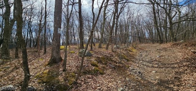 0 Upper Hibernia Rd, Rockaway Twp., NJ 07866