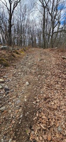 0 Upper Hibernia Rd, Rockaway Twp., NJ 07866