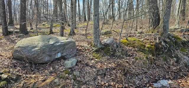 0 Upper Hibernia Rd, Rockaway Twp., NJ 07866