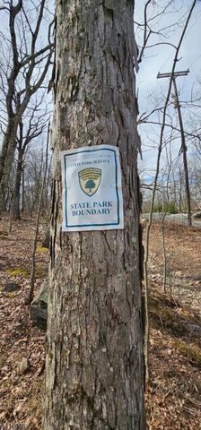 0 Upper Hibernia Rd, Rockaway Twp., NJ 07866