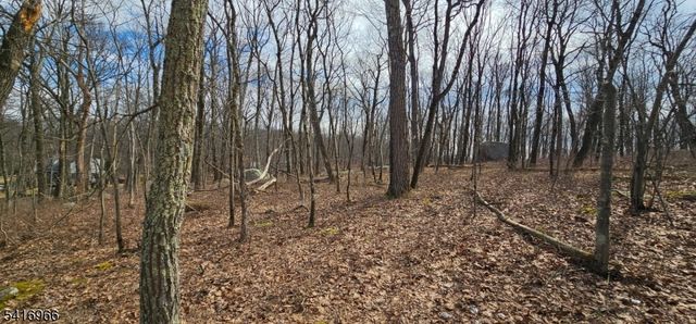 0 Upper Hibernia Rd, Rockaway Twp., NJ 07866