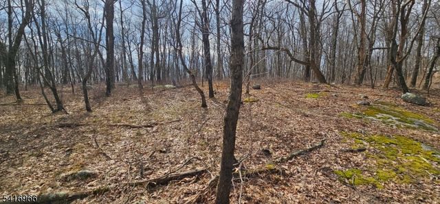 0 Upper Hibernia Rd, Rockaway Twp., NJ 07866