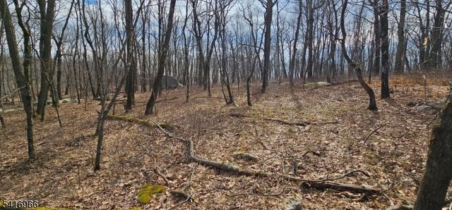 0 Upper Hibernia Rd, Rockaway Twp., NJ 07866