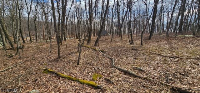 0 Upper Hibernia Rd, Rockaway Twp., NJ 07866