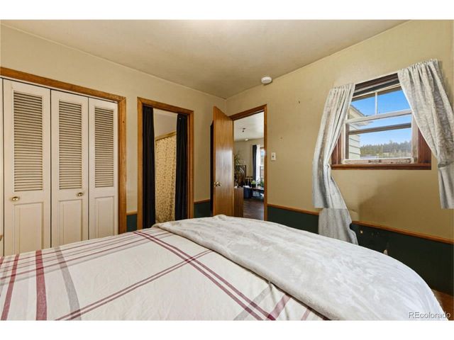 124 Mount Traver Dr, Leadville, CO 80461