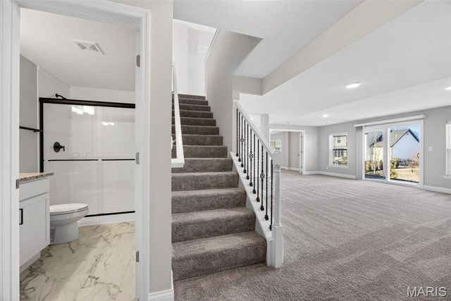 503 Spruce Hollow Ct, Wentzville, MO 63385