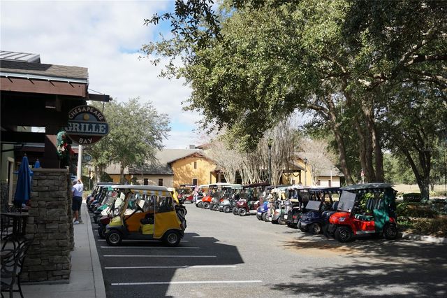 4581 SHENANDOAH RIVER TRAIL, Leesburg, FL 34748