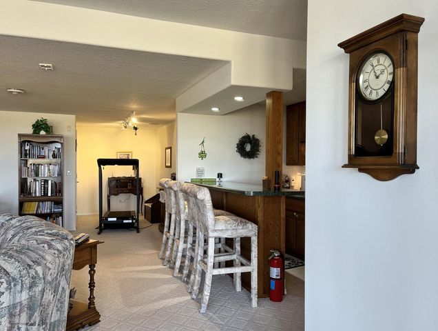 3 Carlock DRIVE, Danforth, IL 60930