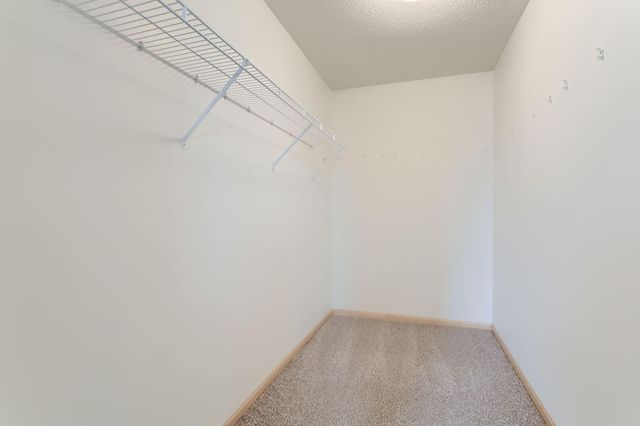 15150 Fanning Drive N, Hugo, MN 55038