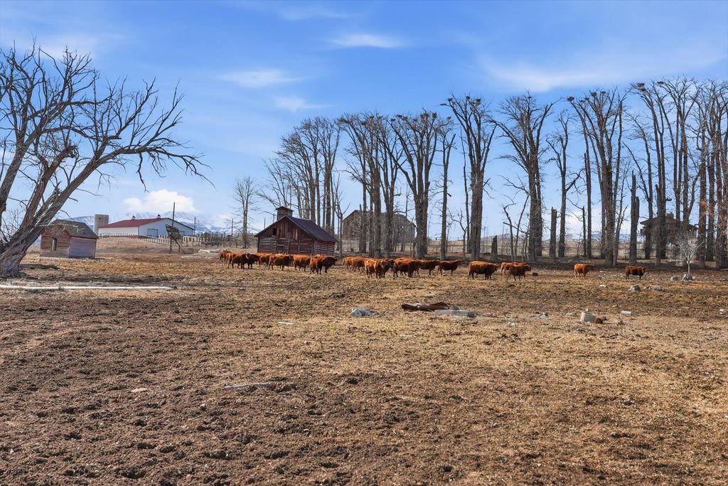 283 Cummoch Drive, Deer Lodge, MT 59722 photo 15