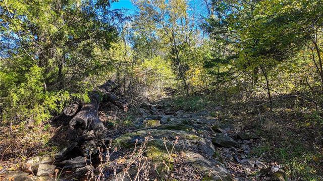 5125 SE 601 Road, Collins, MO 64738