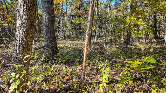 5125 SE 601 Road, Collins, MO 64738