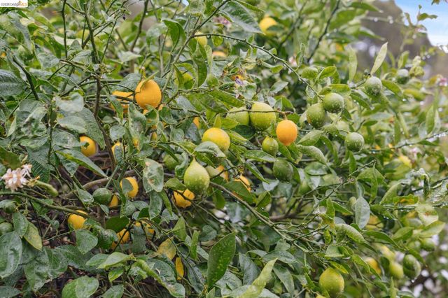 4200 Mountain View Ave, Oakland, CA 94605