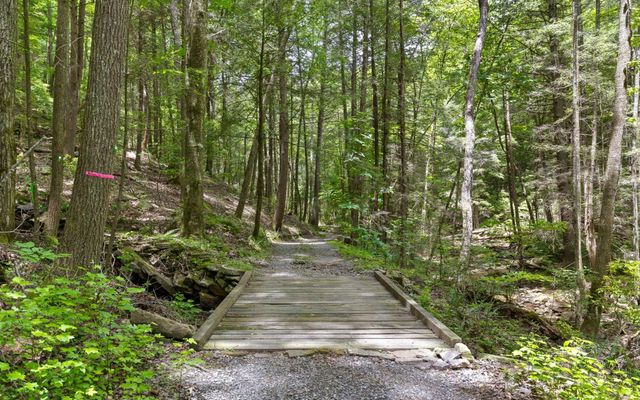 547 Wilderness Way, Dunlap, TN 37327