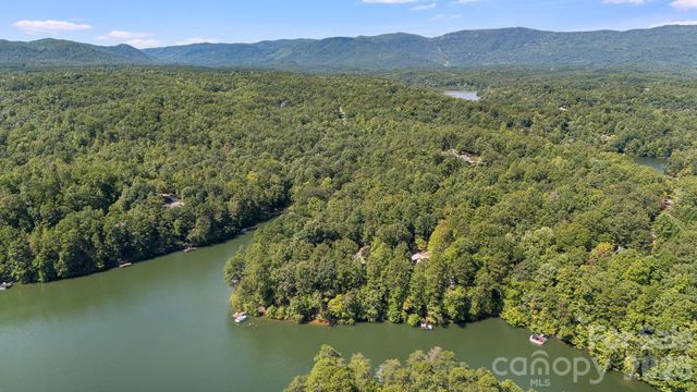 91 Island View Court, Mill Spring, NC 28756