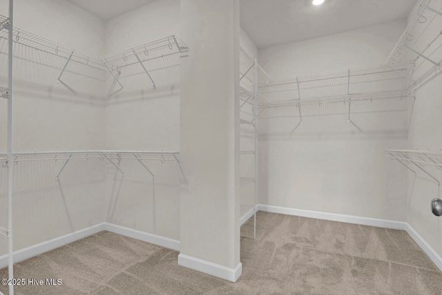 1222 Sunwater Terrace, Leland, NC 28451