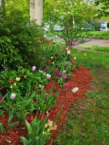 104 Lakewood Parkway, Burlington, VT 05408