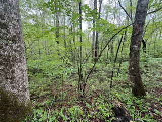 103 Bear Den Trl, Grandview, TN 37337